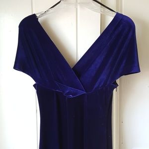 Blue Velvet Gala Dress